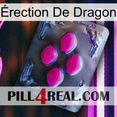 Érection De Dragon 02